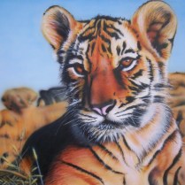 Le tigreau, toile aérographie, 50x70cm2011, a vendre, krem. N°7.