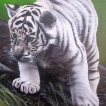 toile aérographie "baby tigre blanc" 50x70cm, 2011, à vendre. N°12.