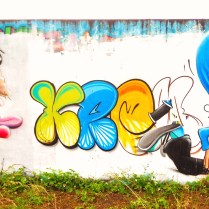 " les élus n' aiment pas le graffiti" chemin de la couleur, tronville en barrois, 2014 KREM.
