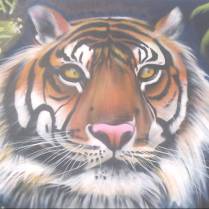 tigre du bengale, krem graffiti, 2006 meuse.