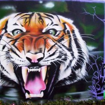 tigre du bengal, street art, graffiti meusemeuse, krem 2011.