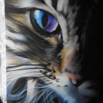 aerographie sur toile 60 x 80cm, le chat, à vendre, krem 2013. N°13.