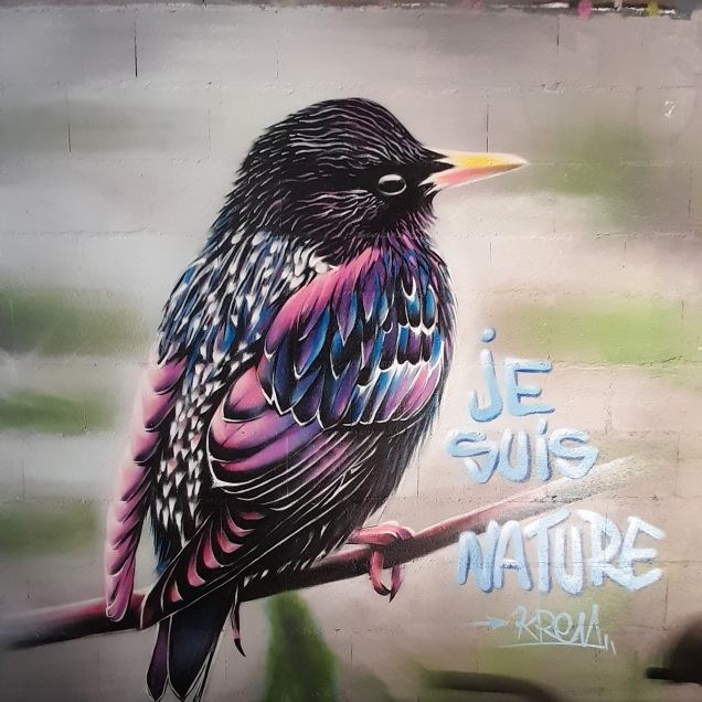 Nature, graffiti oiseau rare, krem 2021