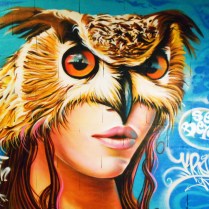 graffiti femme hibou totem animal owlwoman street art , krem 2019