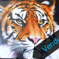Tigre bengal2, aérographie sur papier fabriano 50x70 cm, 2019, n' est plus disponible. Krem. N°51