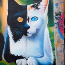 Chat streetart krem, 2023. Support boisu