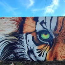 Graffiti tigre krem, 2023, tronville en barrois, chemin de la couleur.