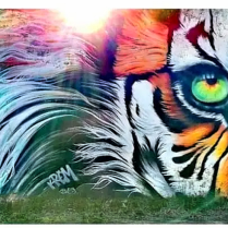 graffiti street art urbain tigre krem bar le duc meuse Lorraine spraydechezvous tronville en barrois photo @papsept7 2024